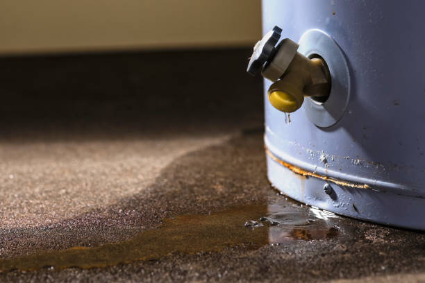Best Flood restoration services  in Gray Summit, MO