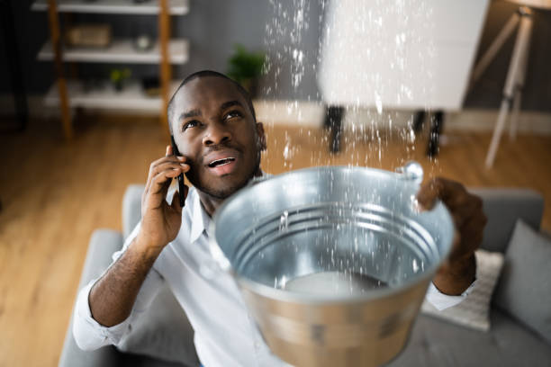 Water damage restoration mold remediation in Gray Summit, MO