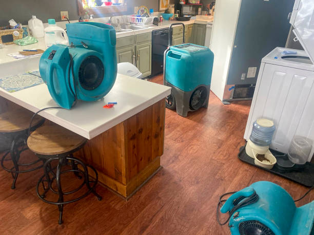 Best Water damage restoration insurance claims  in Gray Summit, MO