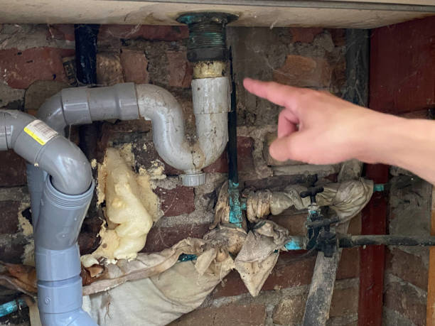 Best Flooded house restoration  in Gray Summit, MO