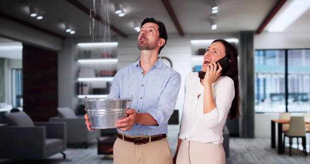 Best Water damage restoration near me  in Gray Summit, MO