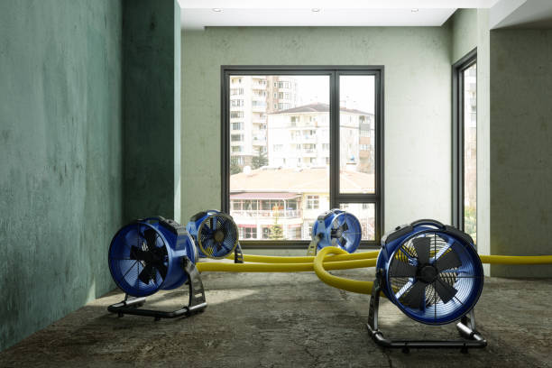 Best Ceiling water damage repair  in Gray Summit, MO